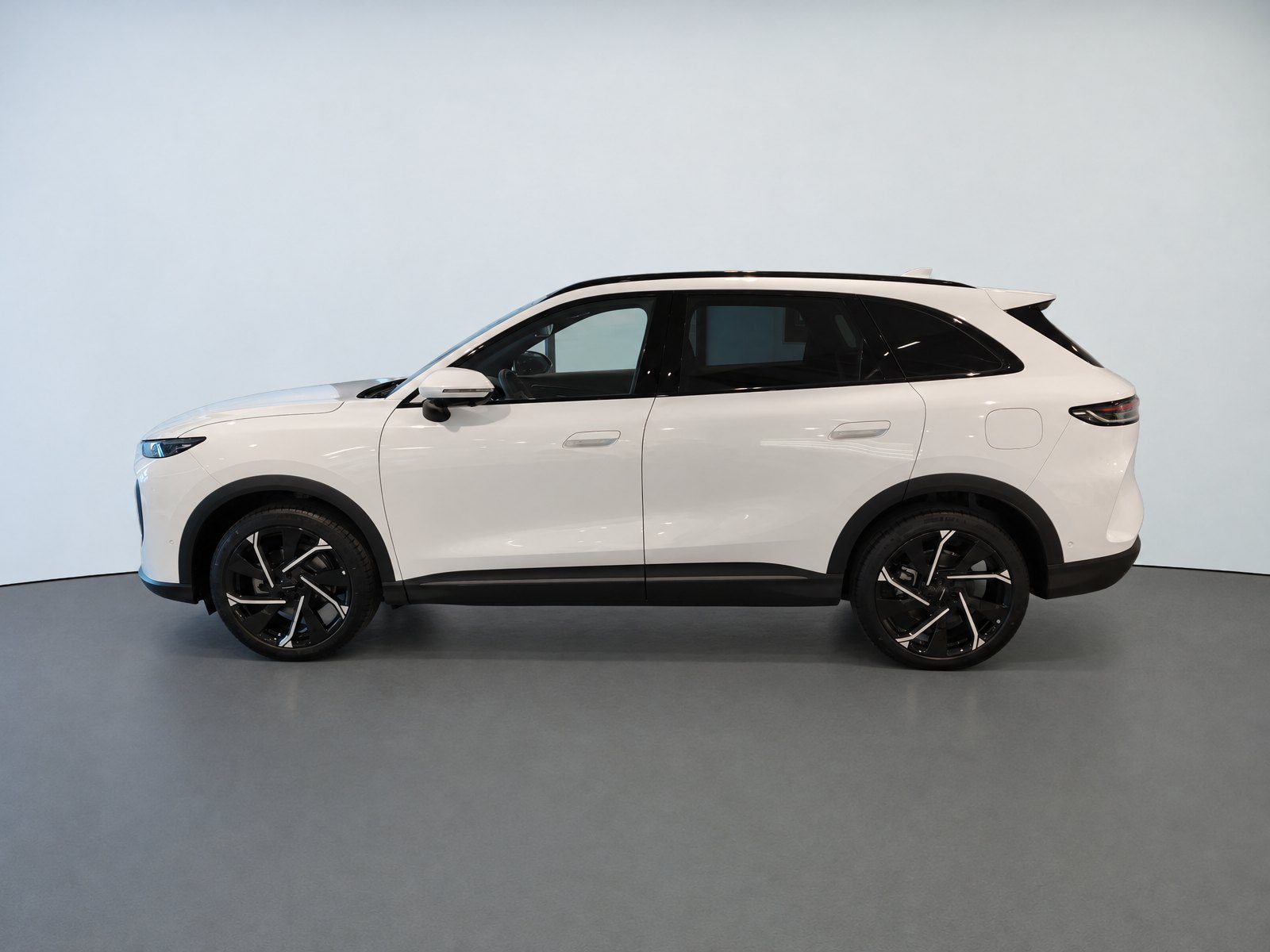 2026 Lepas L8 — fotografija 8