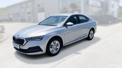 2023 Škoda Octavia