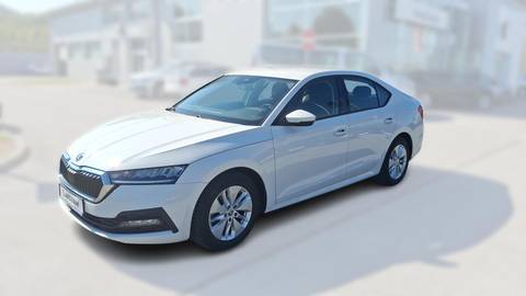 2021 Škoda Octavia