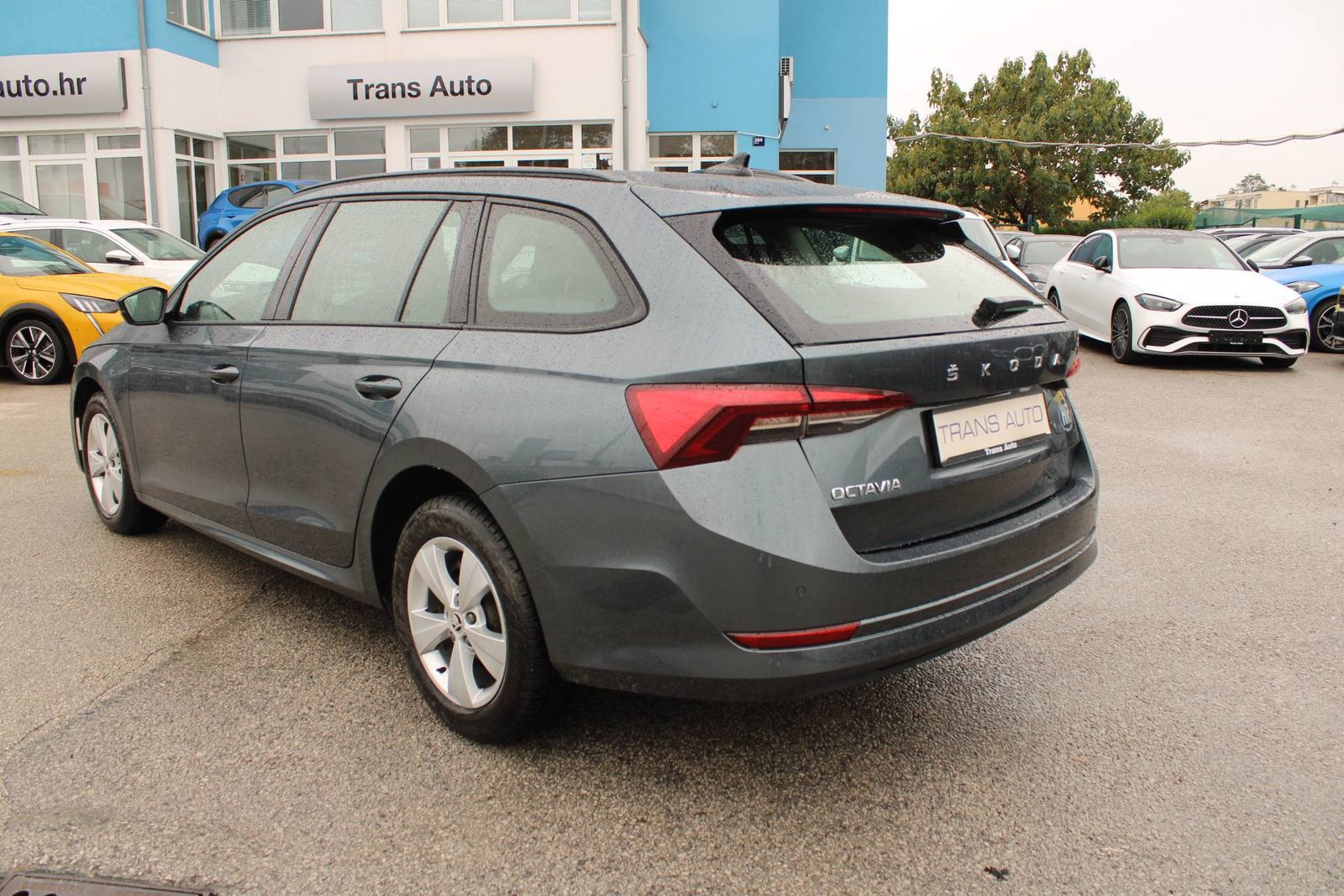 2021 Škoda Octavia Combi — fotografija 7