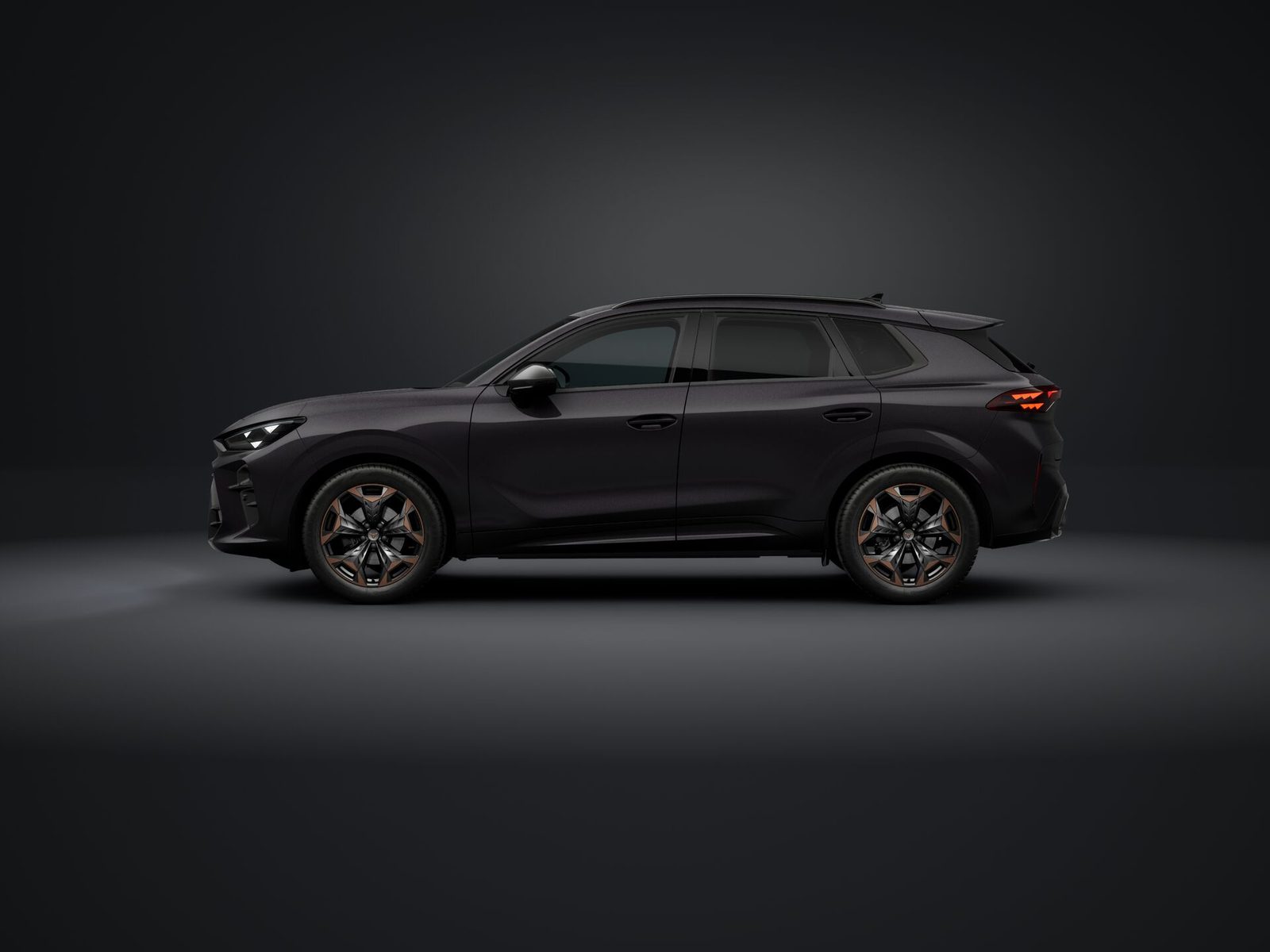 2026 Cupra Terramar — fotografija 3