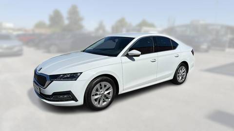 2024 Škoda Octavia