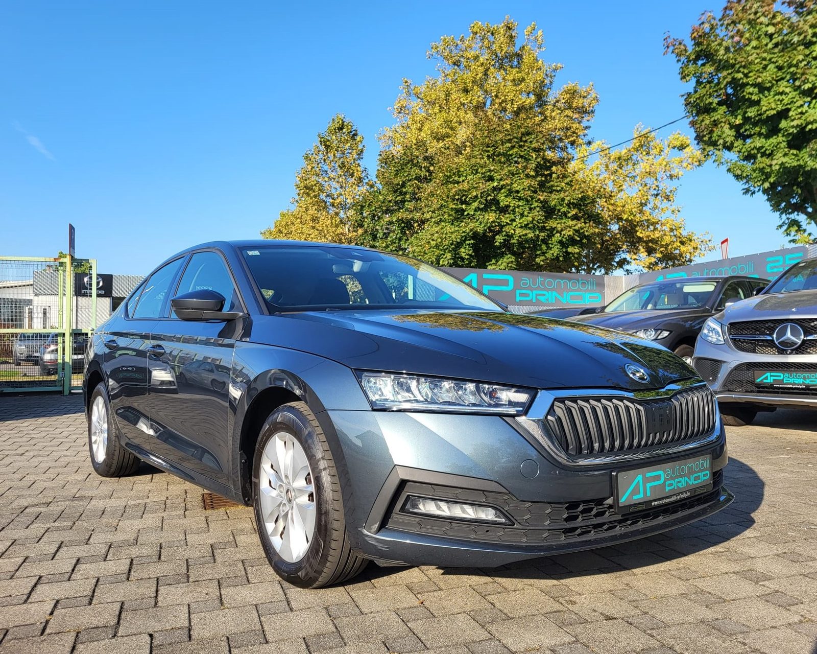 2020 Škoda Octavia — fotografija 8