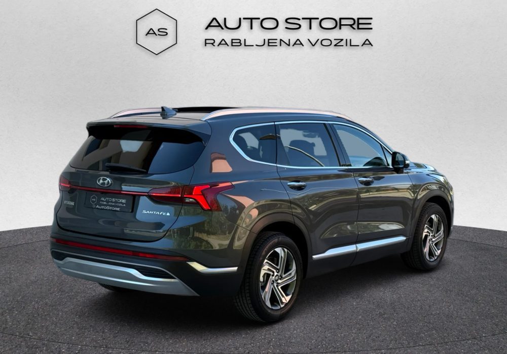 2021 Hyundai Santa — fotografija 10