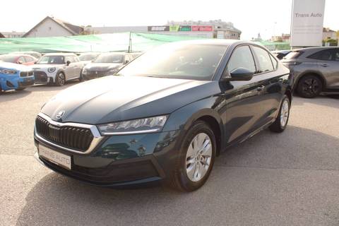 2022 Škoda Octavia