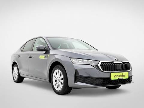 2026 Škoda Octavia