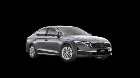 2026 Škoda Octavia