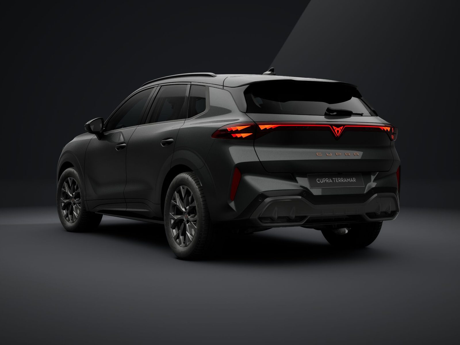 2026 Cupra Terramar — fotografija 4