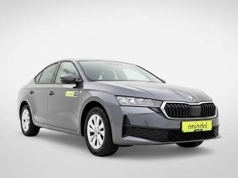 2026 Škoda Octavia