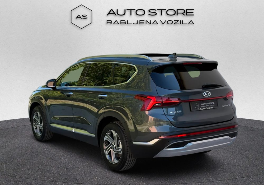 2021 Hyundai Santa — fotografija 6