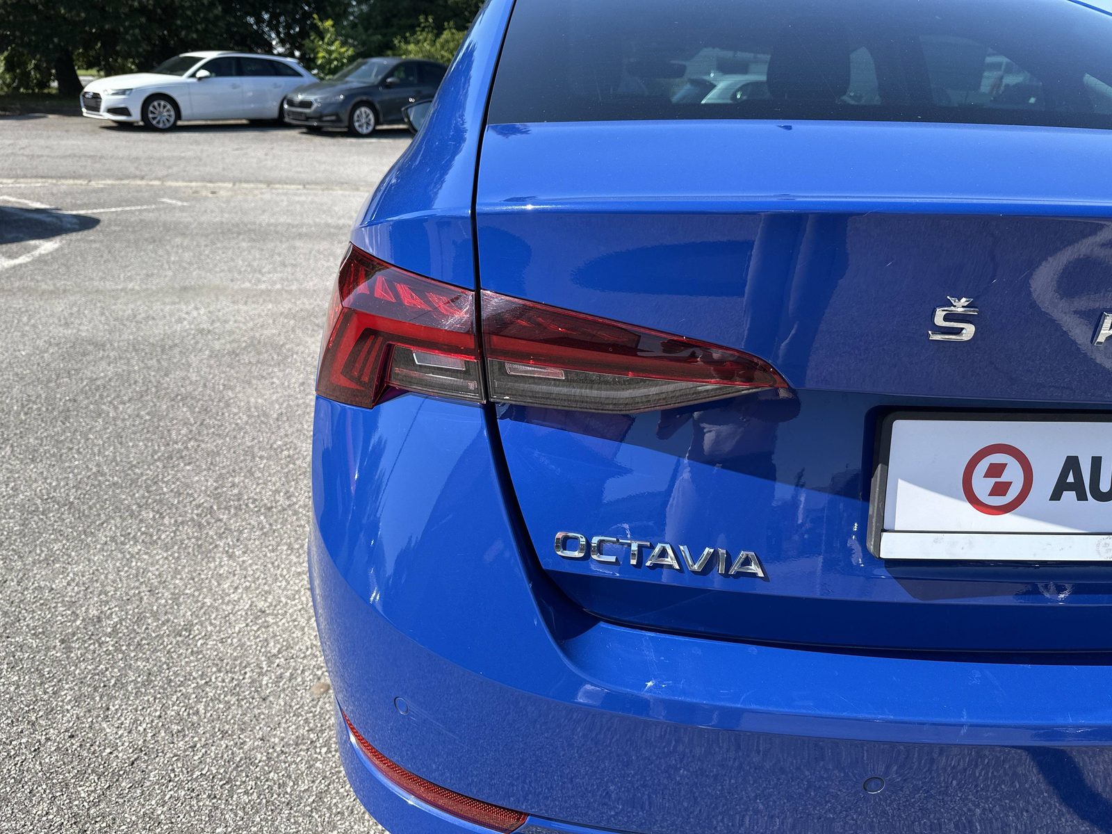 2021 Škoda Octavia — fotografija 14