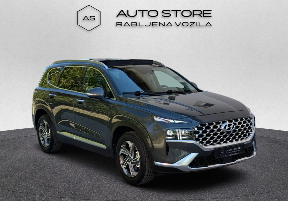 2021 Hyundai Santa — fotografija 14