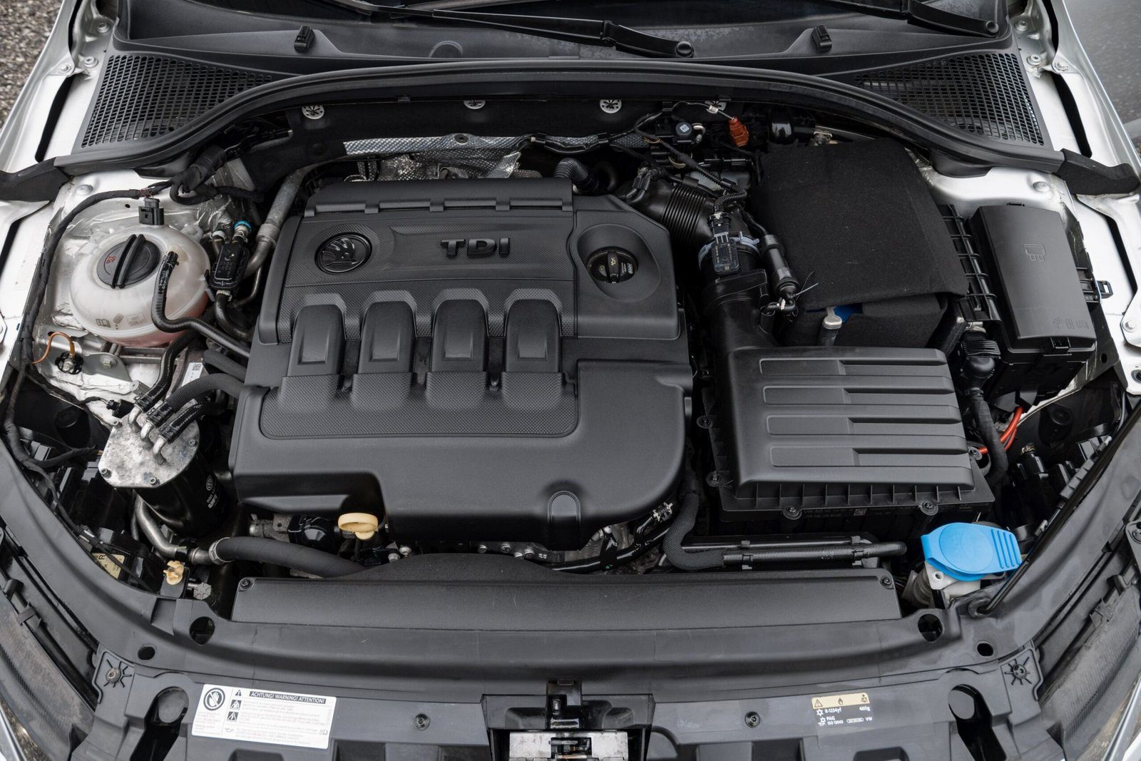 2017 Škoda Octavia — fotografija 11