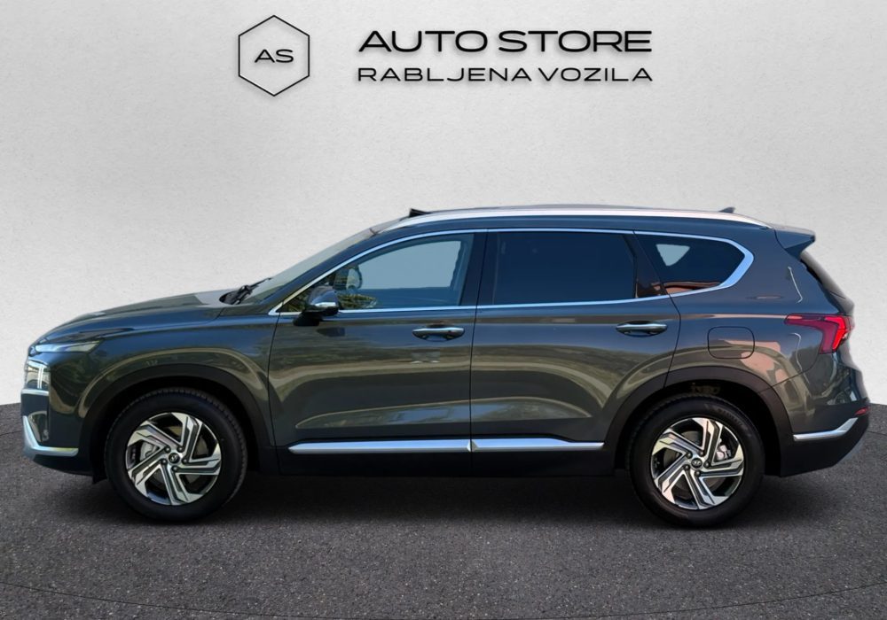 2021 Hyundai Santa — fotografija 4