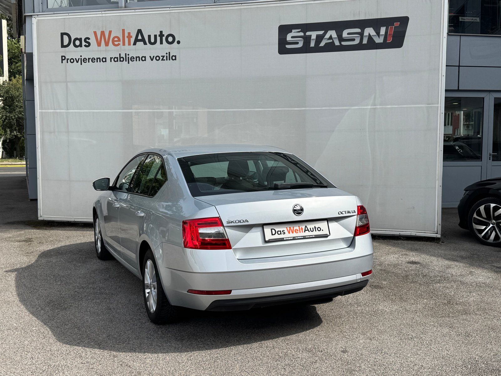 2019 Škoda Octavia — fotografija 7