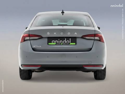 2024 Škoda Octavia — sličica 5