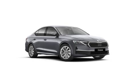 2026 Škoda Octavia