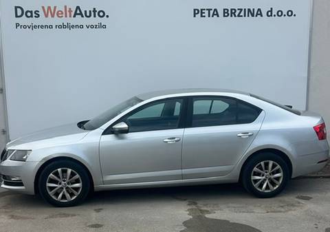 2019 Škoda Octavia — sličica 2