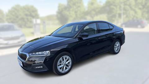 2023 Škoda Octavia