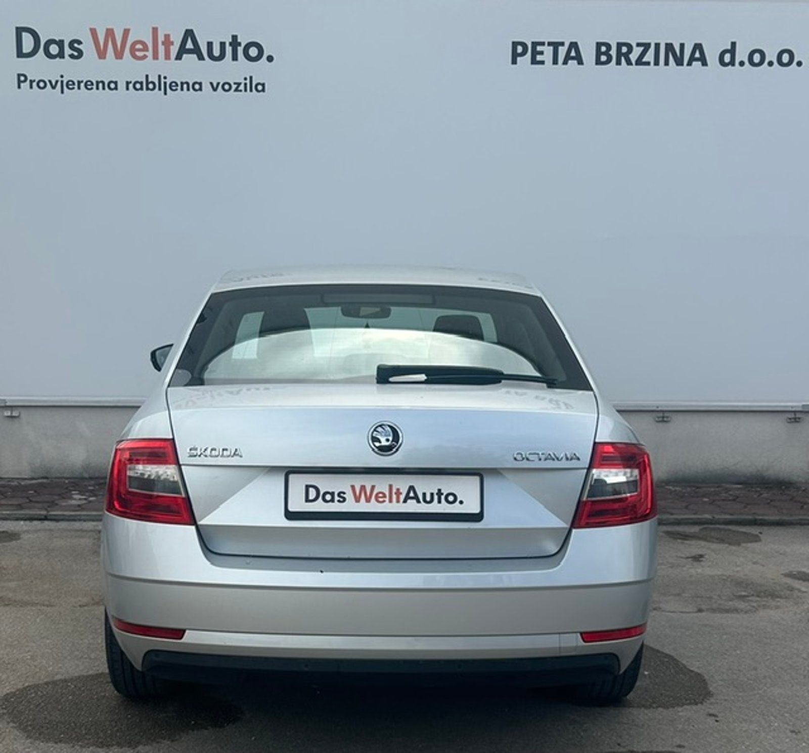 2019 Škoda Octavia — fotografija 6