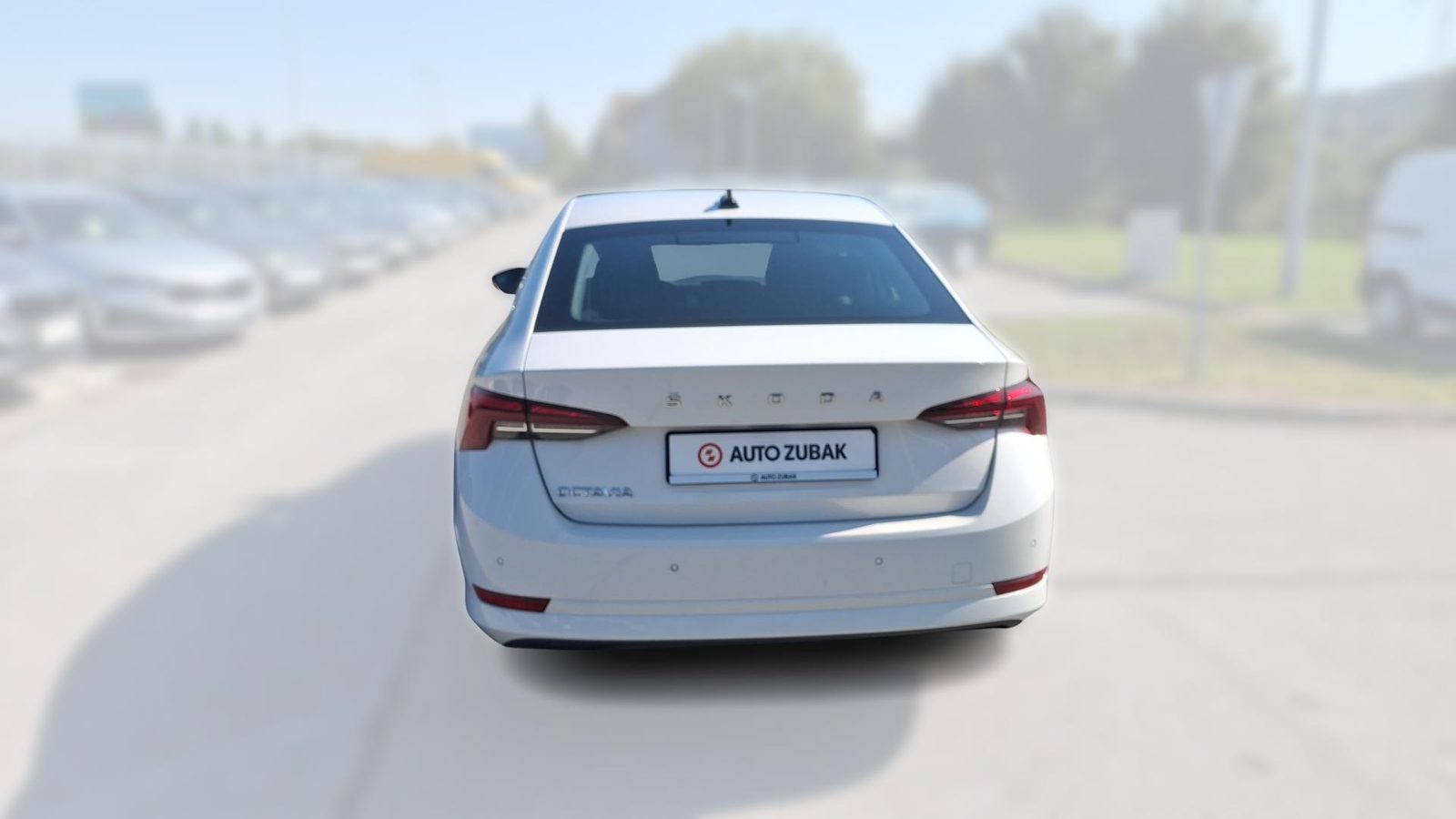 2021 Škoda Octavia — fotografija 6