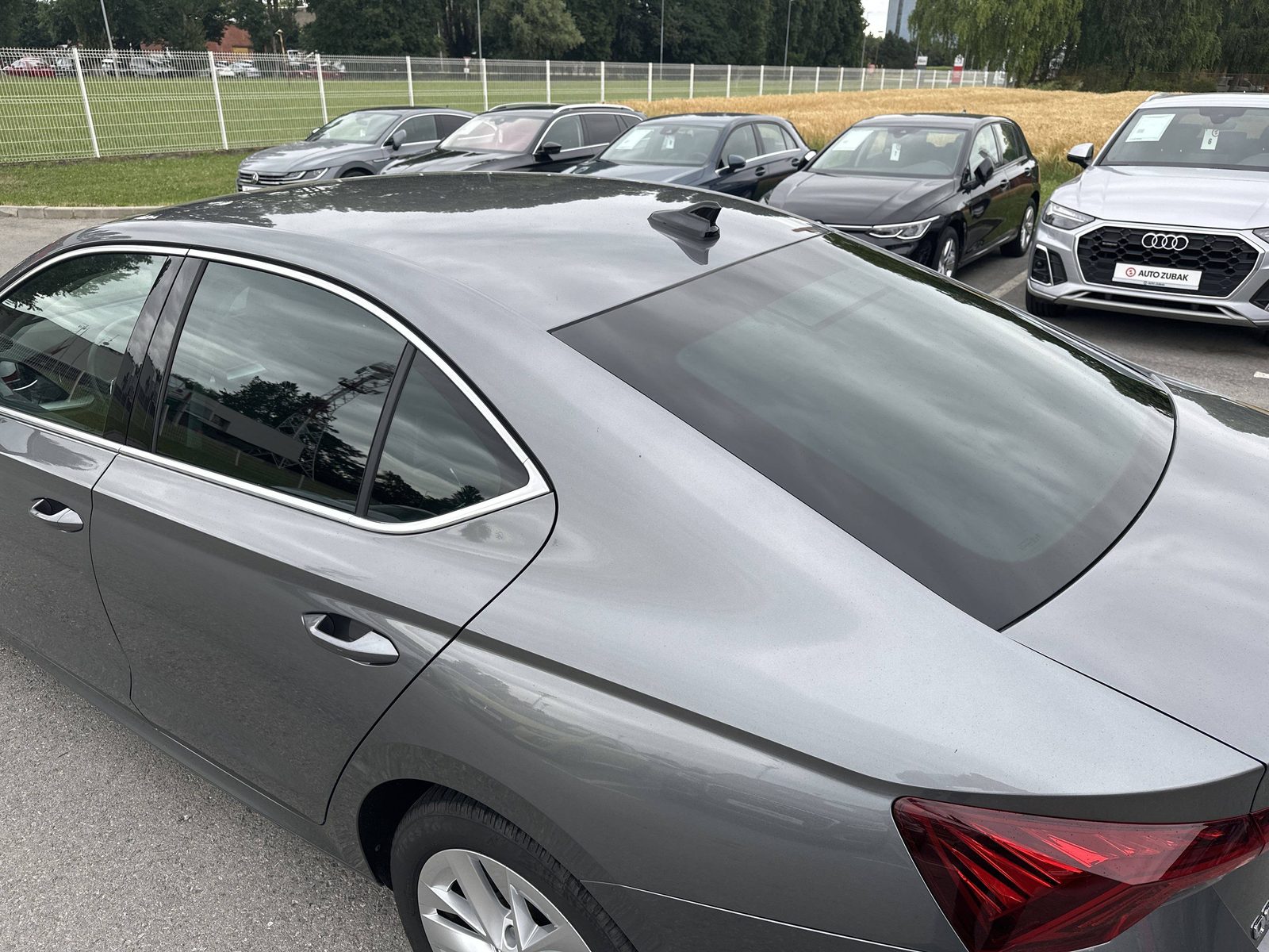 2024 Škoda Octavia — fotografija 13