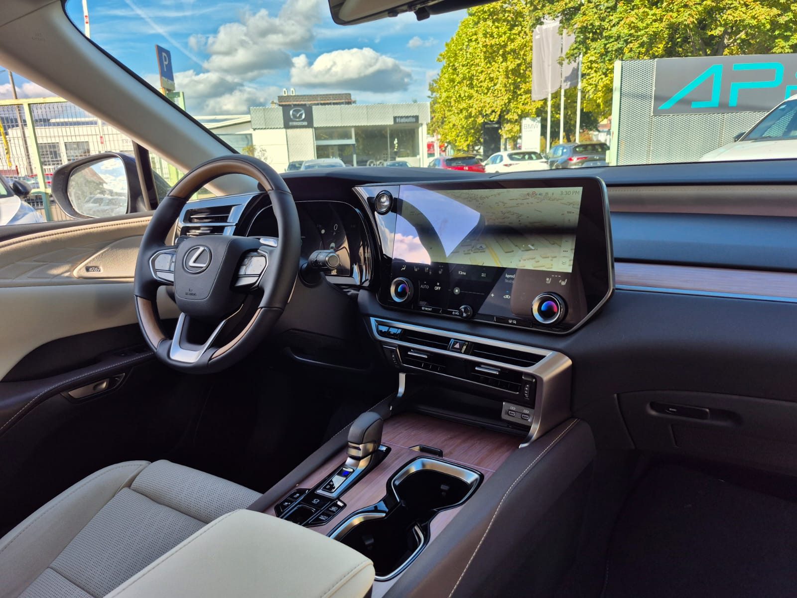 2025 Lexus RX 450h — fotografija 13