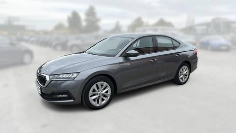 2023 Škoda Octavia