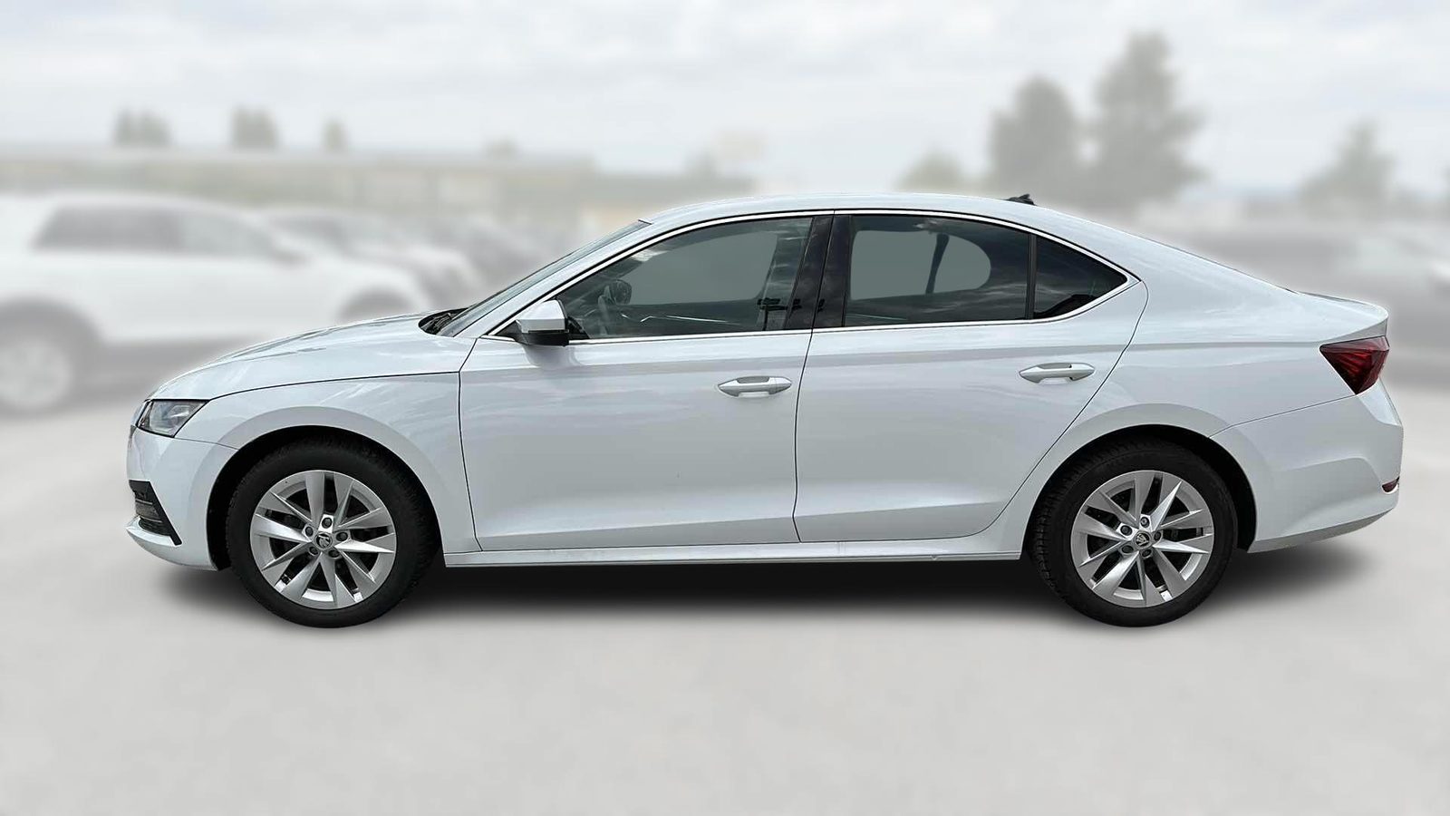 2024 Škoda Octavia — fotografija 4