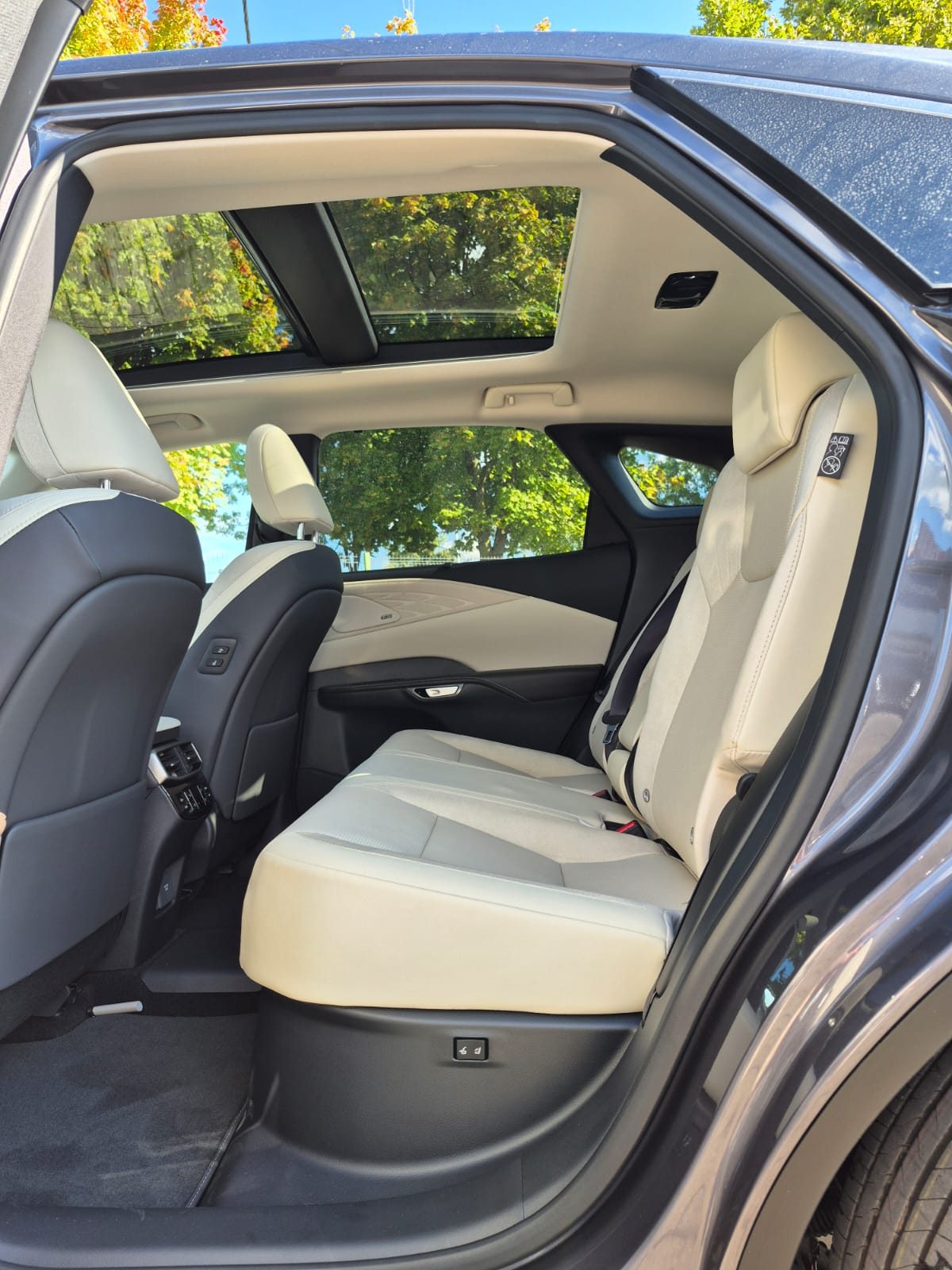 2025 Lexus RX 450h — fotografija 18