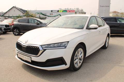 2023 Škoda Octavia