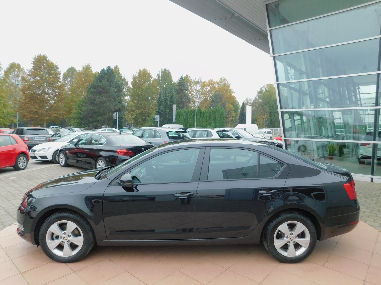 2018 Škoda Octavia — fotografija 8