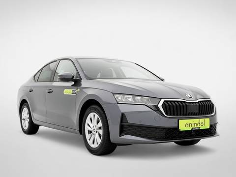 2026 Škoda Octavia