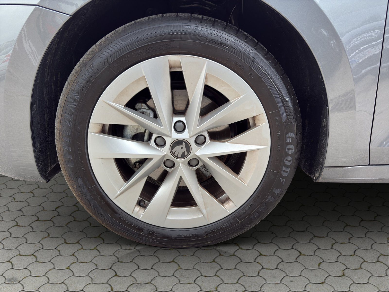 2025 Škoda Octavia — fotografija 17