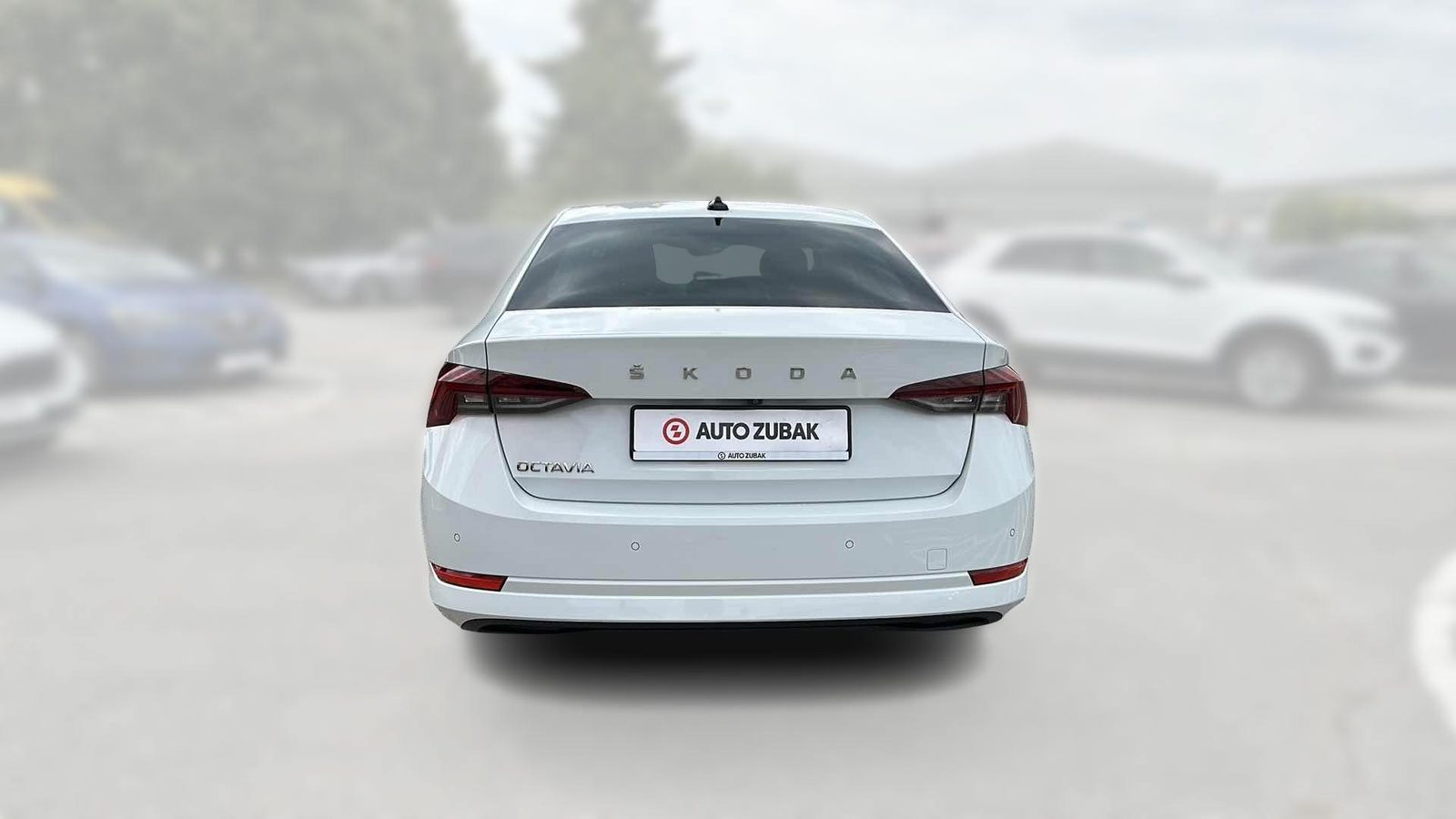 2024 Škoda Octavia — fotografija 6