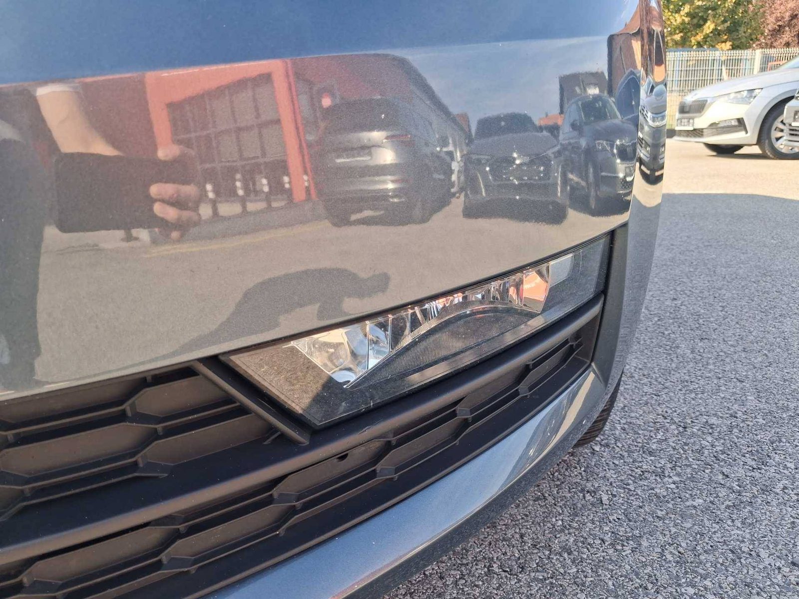 2019 Škoda Octavia — fotografija 13