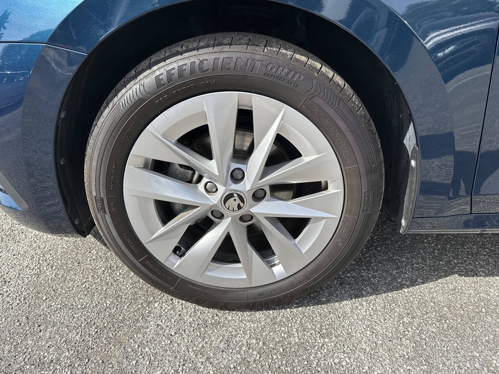 2024 Škoda Octavia Combi — fotografija 15