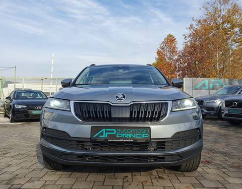 2019 Škoda Karoq — sličica 2