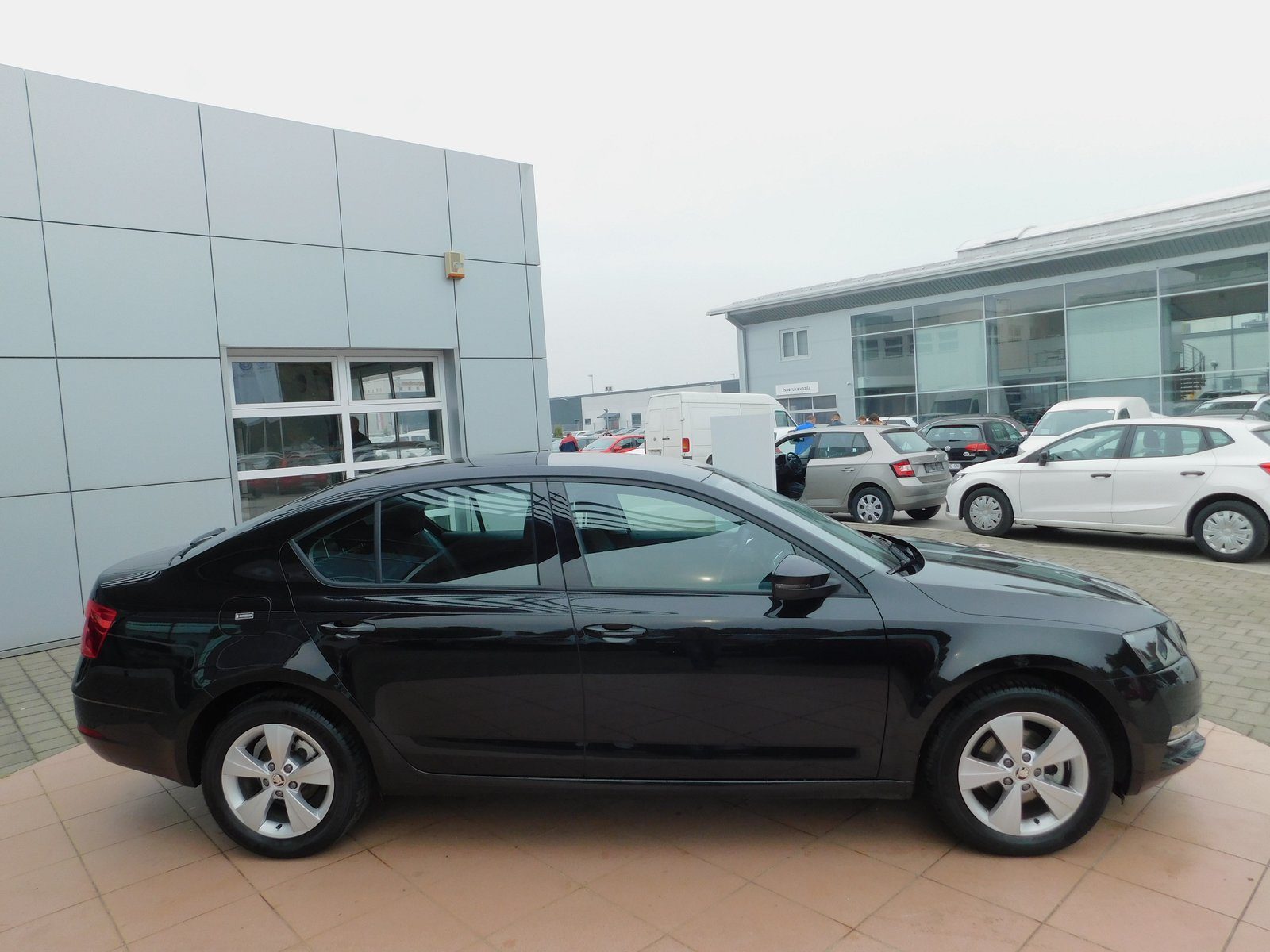 2018 Škoda Octavia — fotografija 4