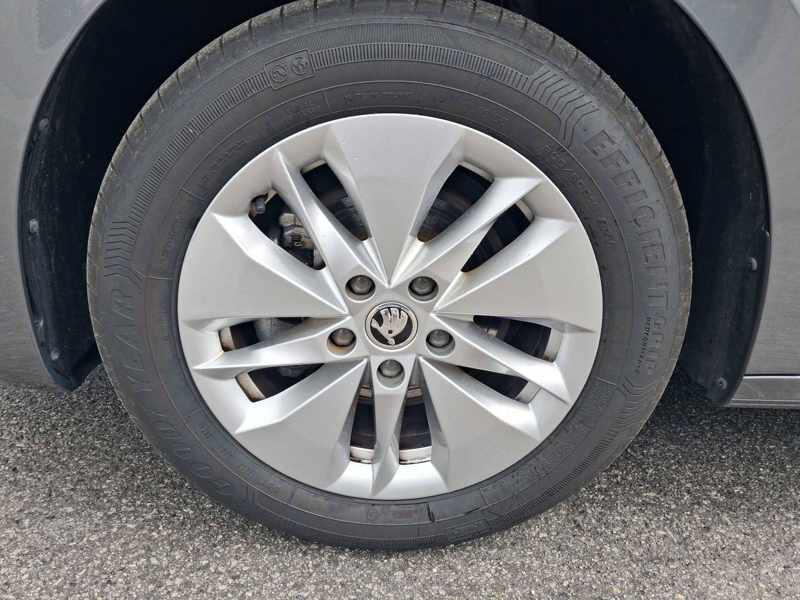 2023 Škoda Octavia Combi — fotografija 15