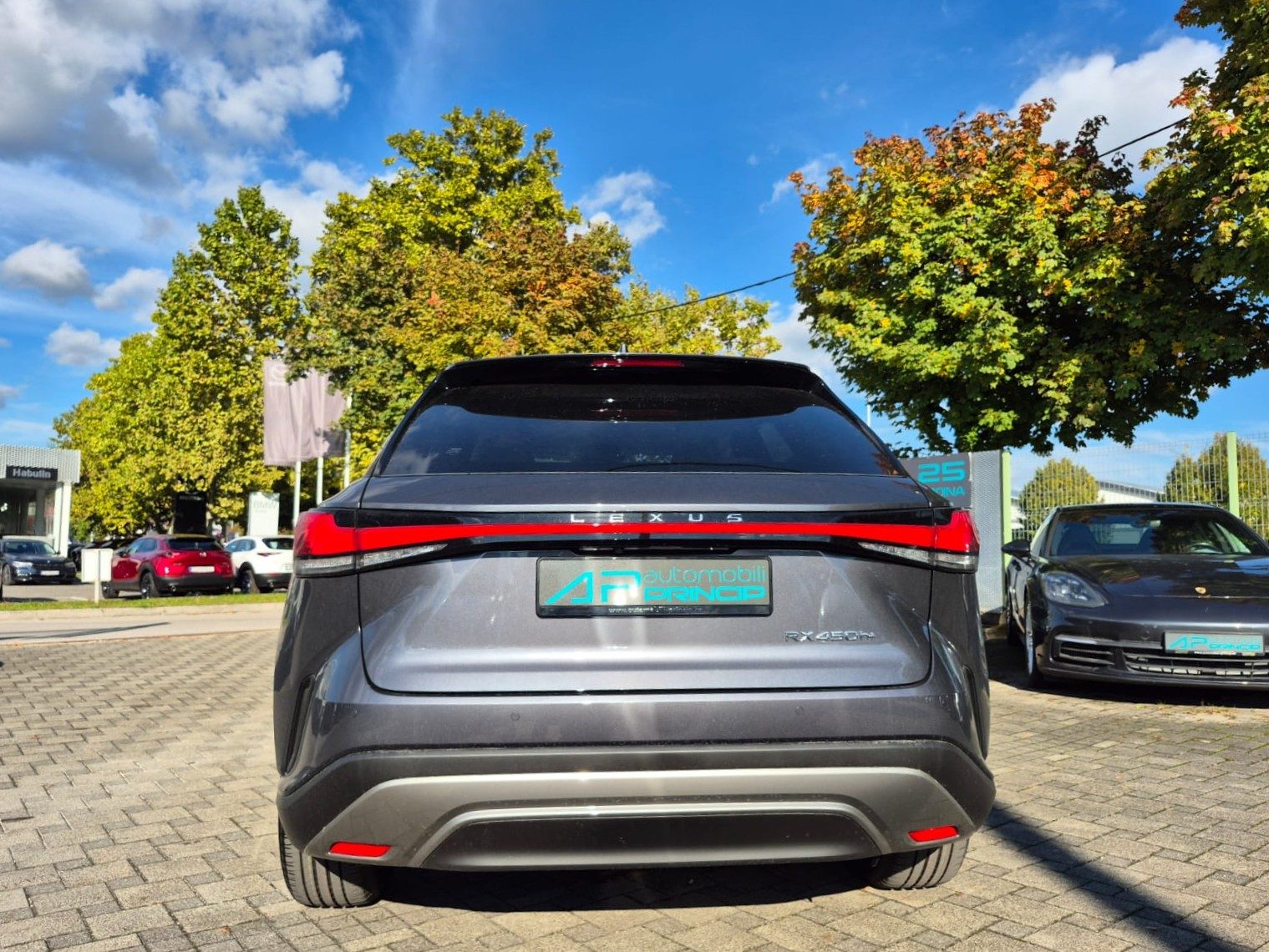 2025 Lexus RX 450h — fotografija 6