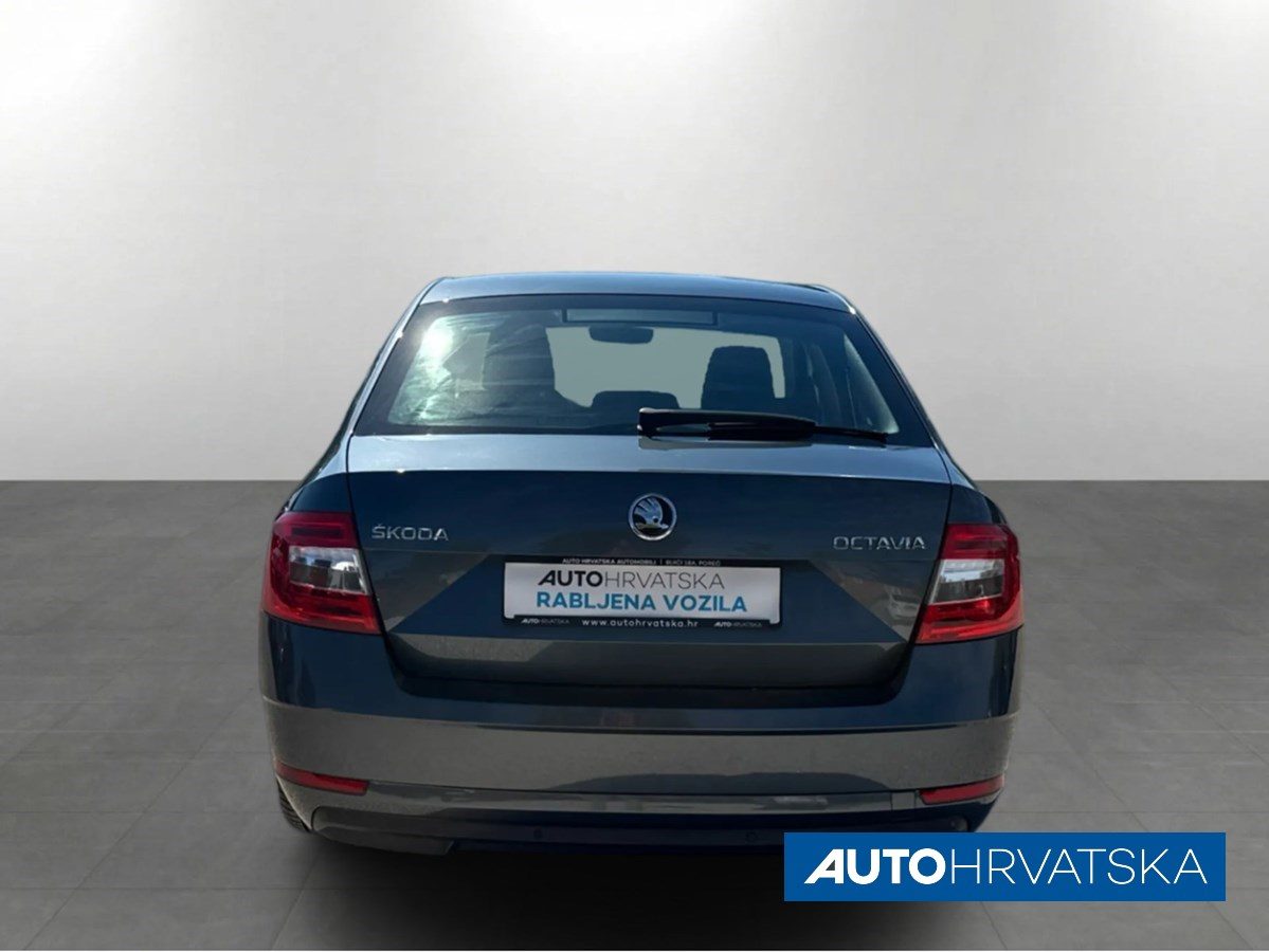 2019 Škoda Octavia — fotografija 6