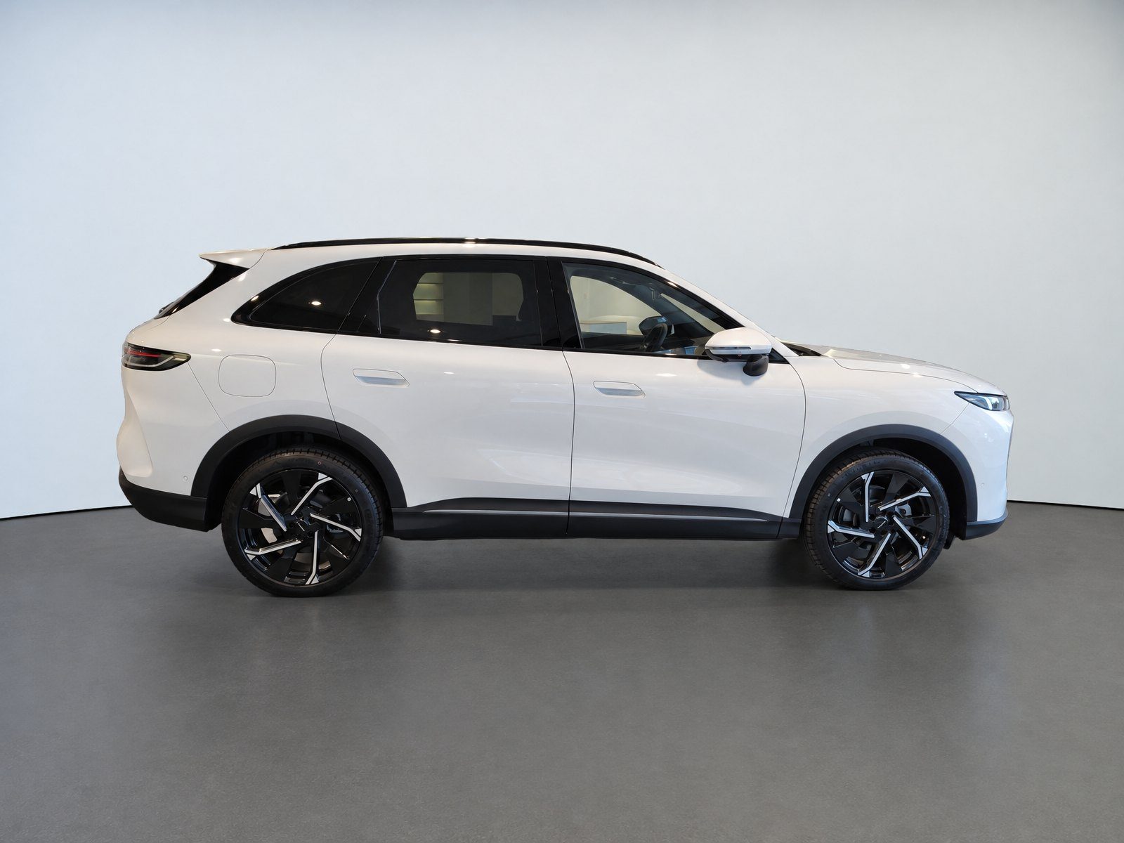 2026 Lepas L8 — fotografija 4