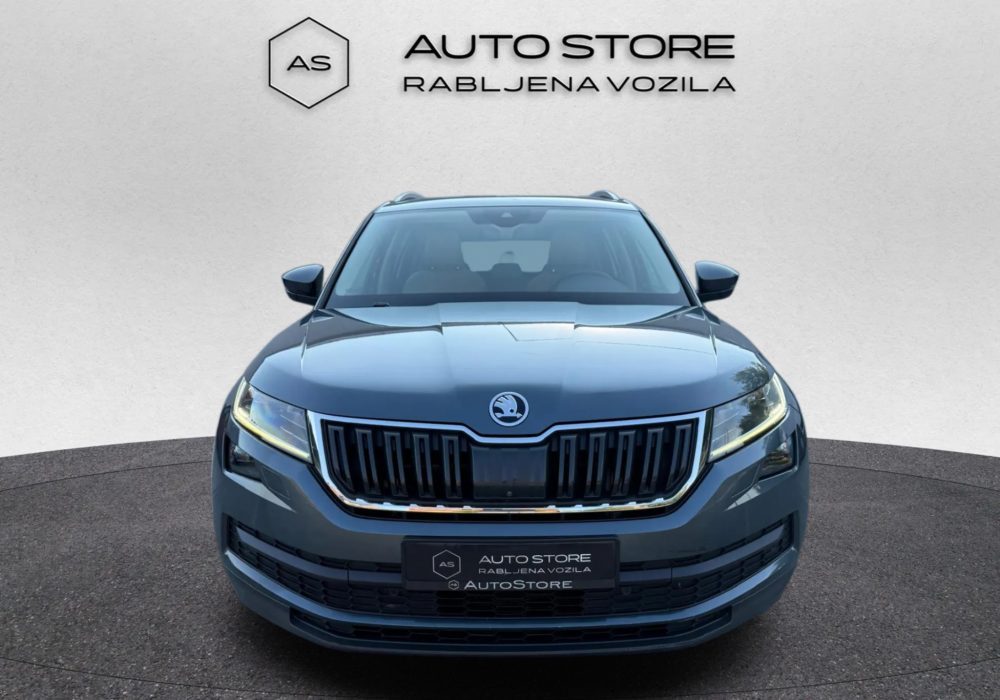 2017 Škoda Kodiaq — fotografija 16