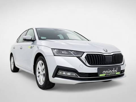 2024 Škoda Octavia