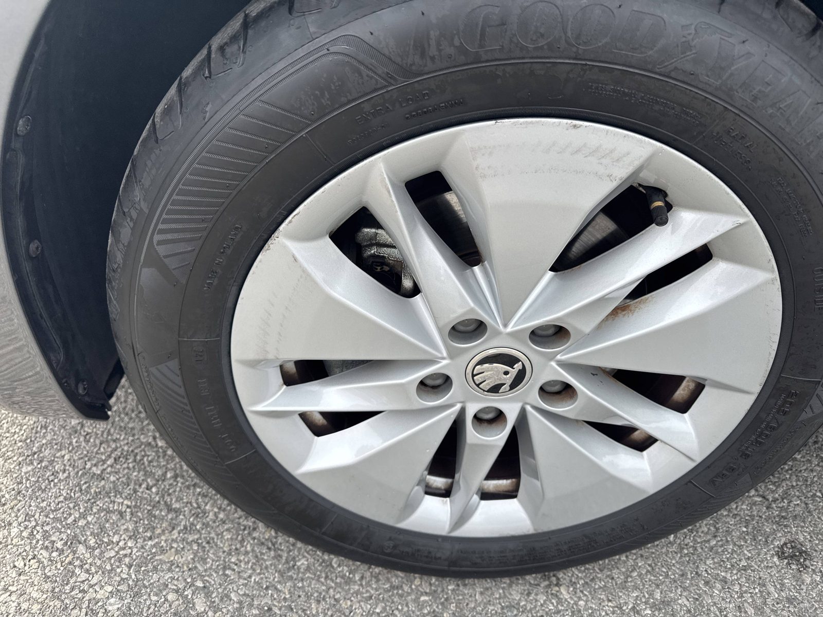 2024 Škoda Octavia Combi — fotografija 14