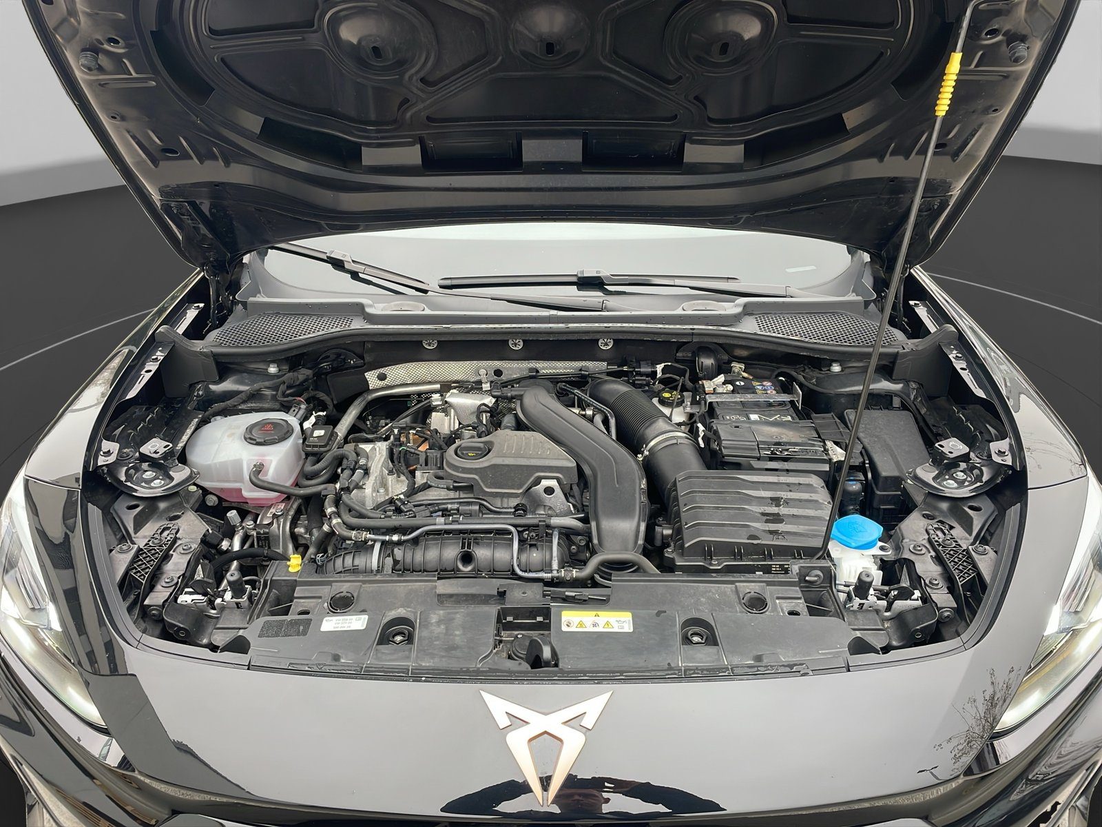 2024 Cupra Formentor — fotografija 19