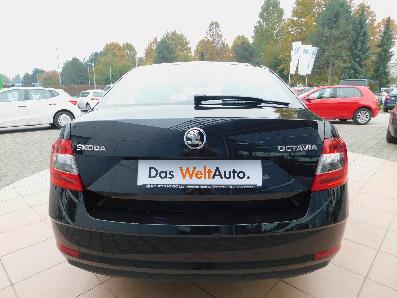 2018 Škoda Octavia — fotografija 6