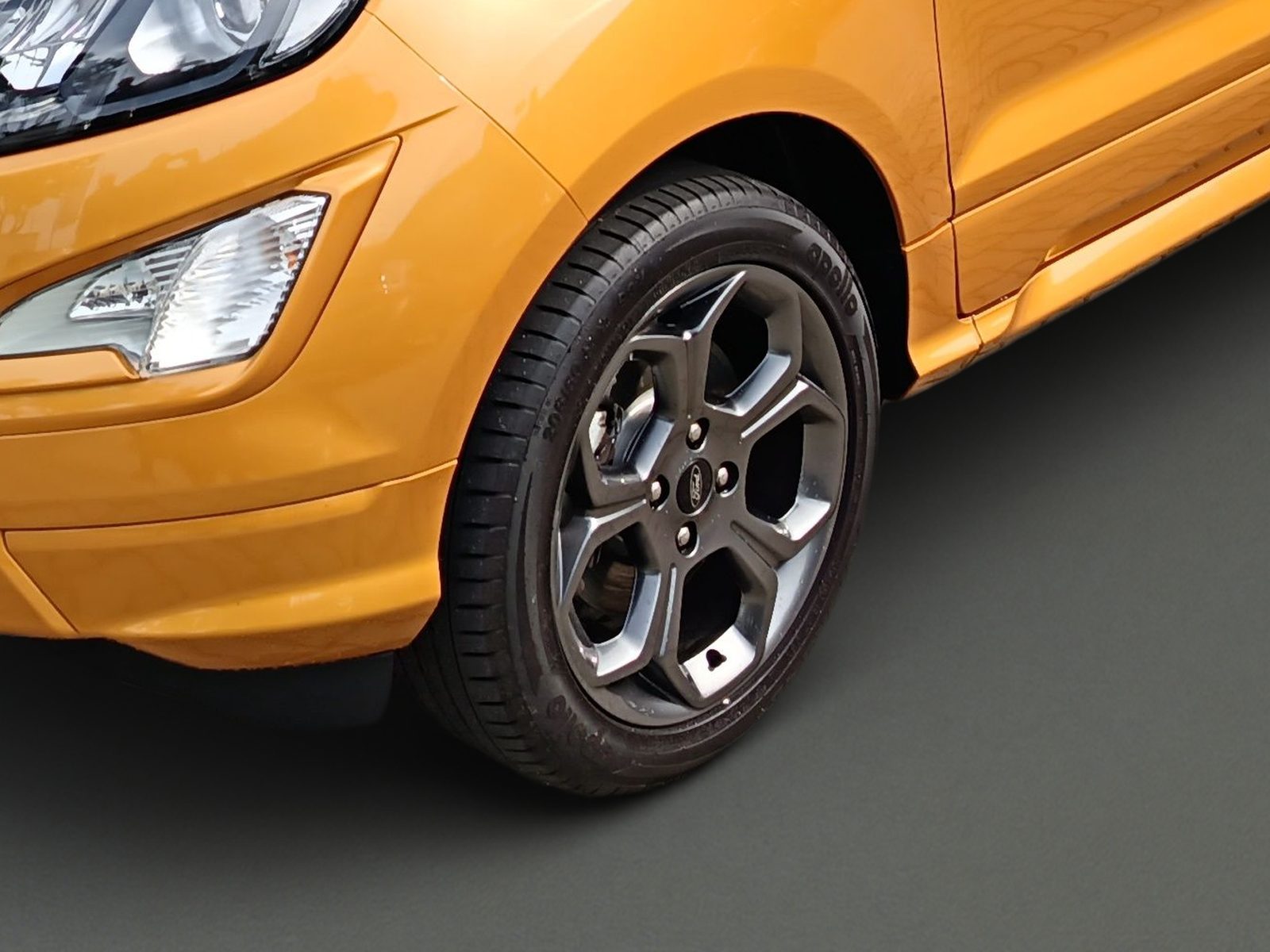 2022 Ford Ecosport — fotografija 11