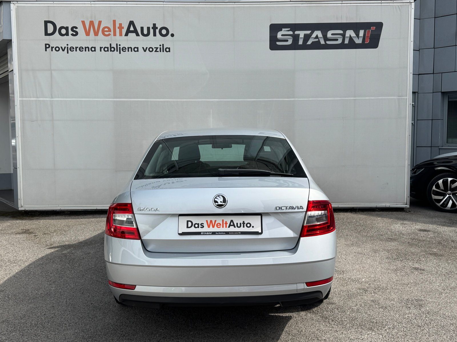 2019 Škoda Octavia — fotografija 6